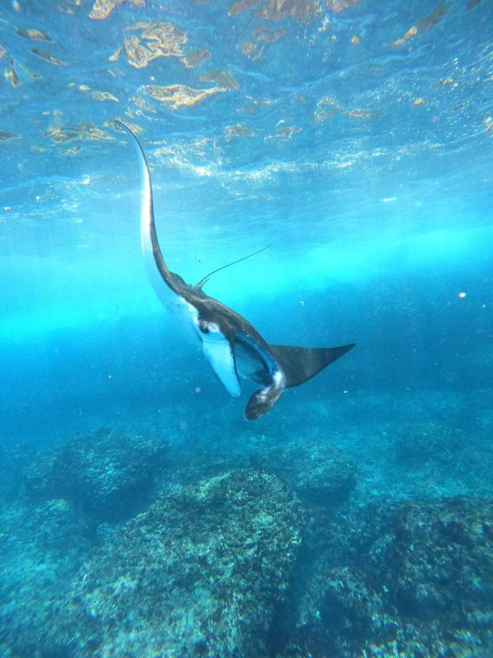D'Waktu In House Leilighet Lembongan Eksteriør bilde