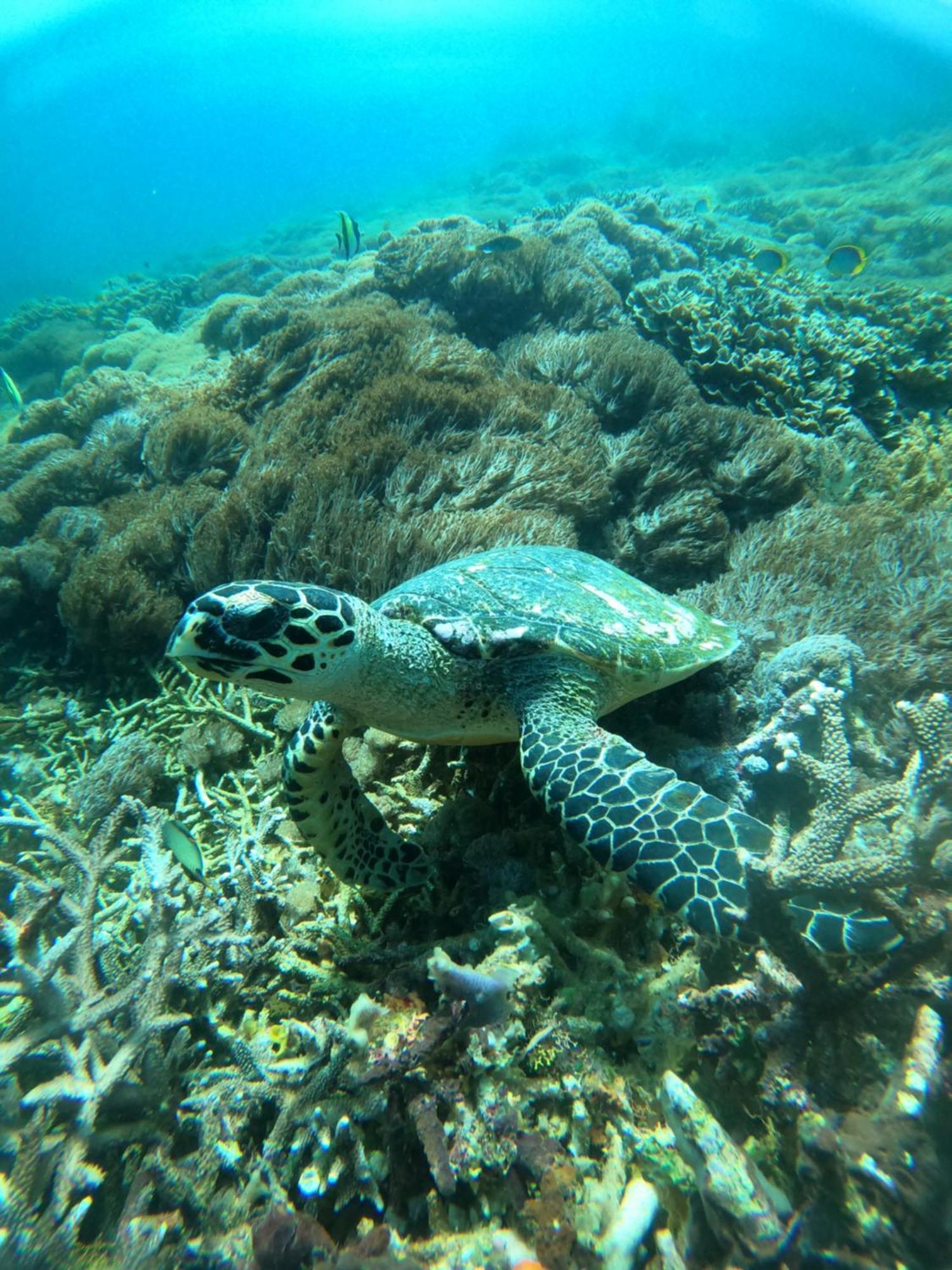 D'Waktu In House Leilighet Lembongan Eksteriør bilde